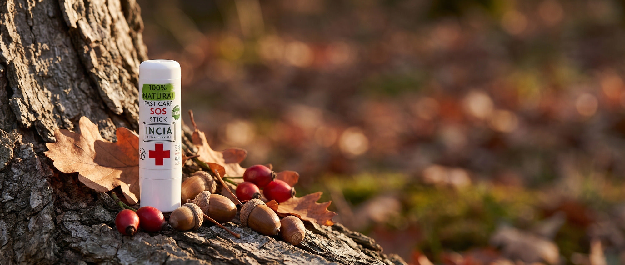 INCIA SOS Stick on woodland bark with acorns and rosehips